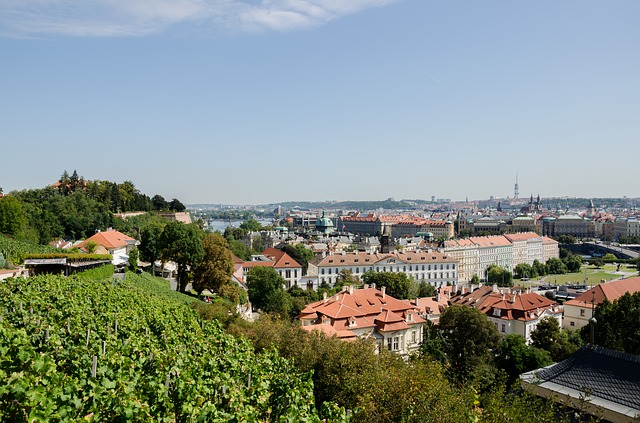 pohled na panorama Prahy.jpg